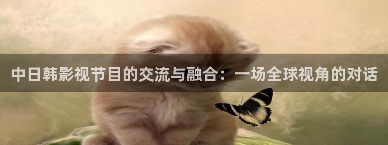 中日韩影视节目的交流与融合：一场全球视角的对话