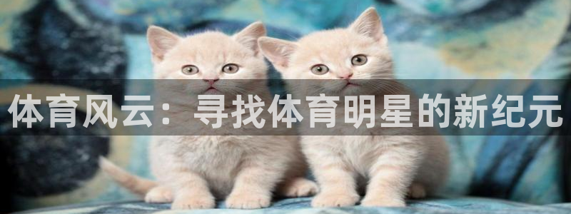 体育风云：寻找体育明星的新纪元