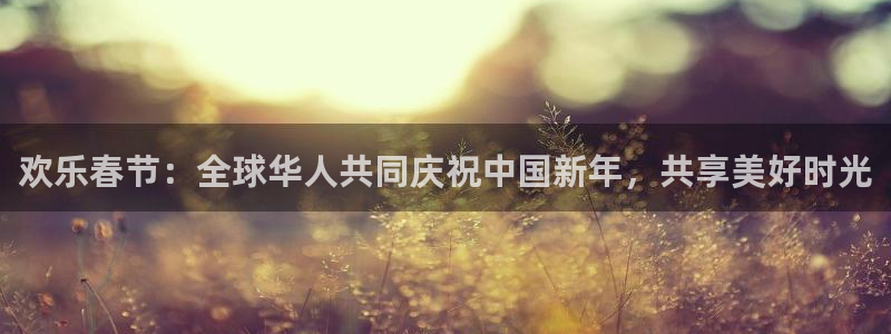 欢乐春节：全球华人共同庆祝中国新年，共享美好时光