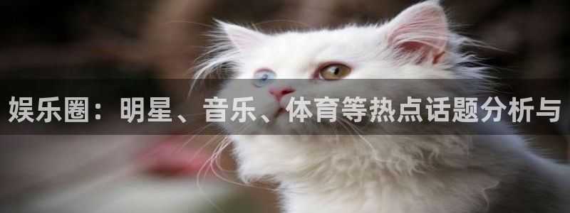 娱乐圈：明星、音乐、体育等热点话题分析与