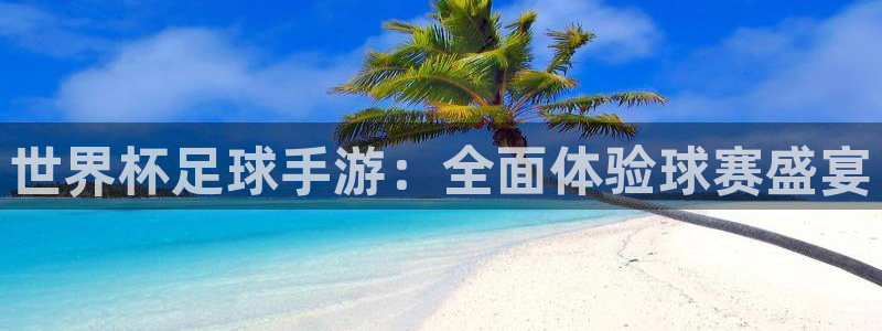 世界杯足球手游：全面体验球赛盛宴