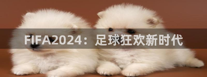 FIFA2024：足球狂欢新时代