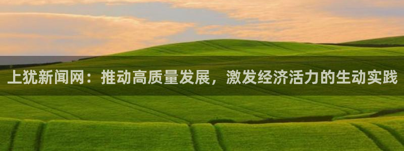 上犹新闻网：推动高质量发展，激发经济活力的生动实践