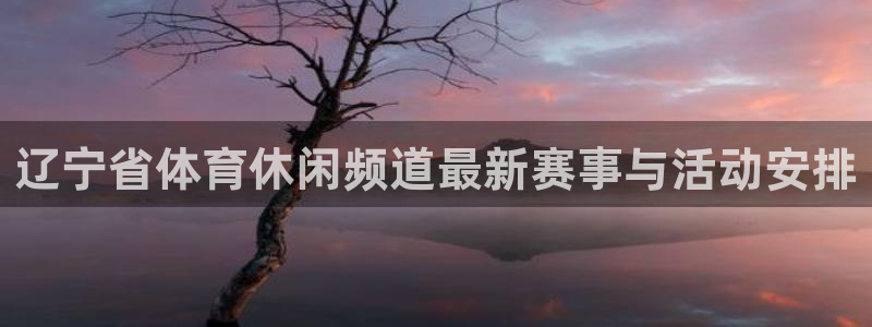 辽宁省体育休闲频道最新赛事与活动安排