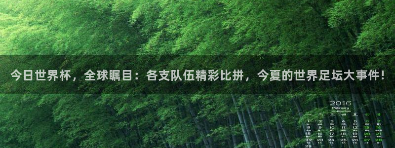 今日世界杯，全球瞩目：各支队伍精彩比拼，今夏的世界足坛大事件!