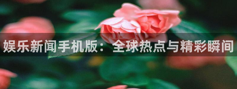 娱乐新闻手机版：全球热点与精彩瞬间
