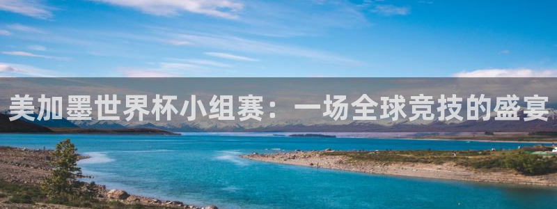 美加墨世界杯小组赛：一场全球竞技的盛宴