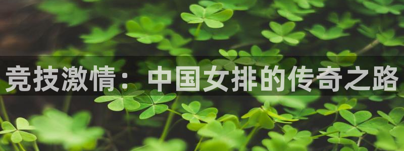 竞技激情：中国女排的传奇之路