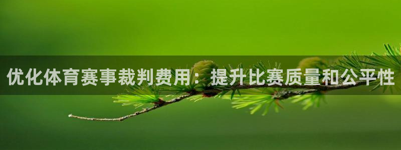 优化体育赛事裁判费用：提升比赛质量和公平性