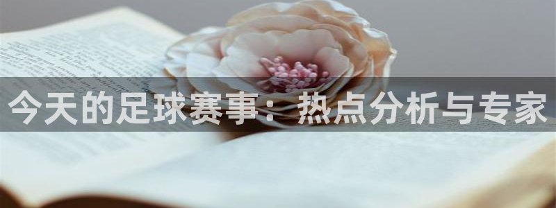 今天的足球赛事：热点分析与专家