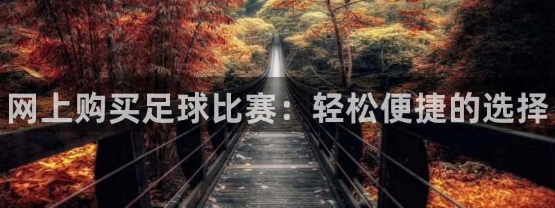 网上购买足球比赛：轻松便捷的选择