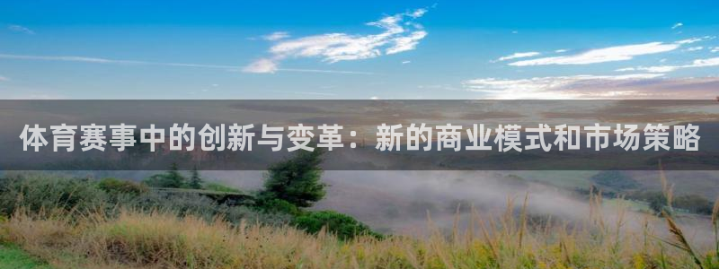体育赛事中的创新与变革：新的商业模式和市场策略