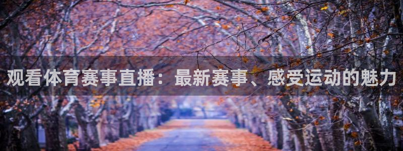 观看体育赛事直播：最新赛事、感受运动的魅力
