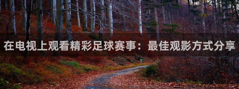 在电视上观看精彩足球赛事：最佳观影方式分享
