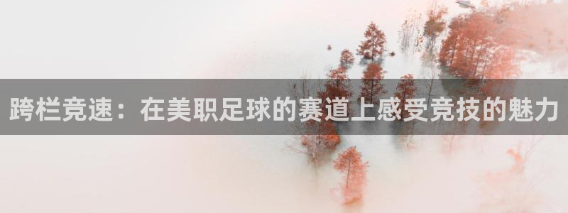 跨栏竞速：在美职足球的赛道上感受竞技的魅力