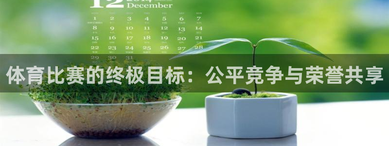 体育比赛的终极目标：公平竞争与荣誉共享
