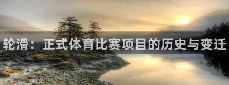 轮滑：正式体育比赛项目的历史与变迁