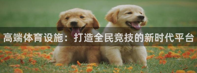 高端体育设施：打造全民竞技的新时代平台