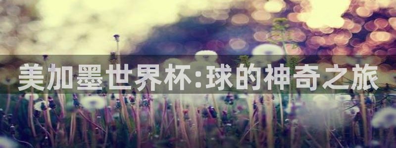 美加墨世界杯:球的神奇之旅