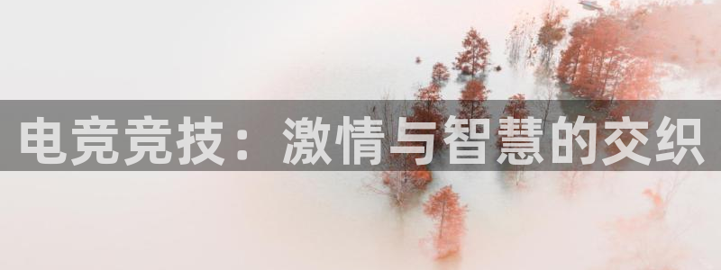 电竞竞技：激情与智慧的交织