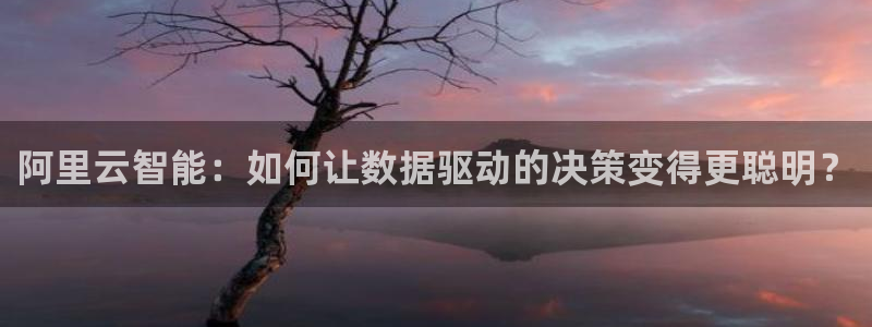阿里云智能：如何让数据驱动的决策变得更聪明？