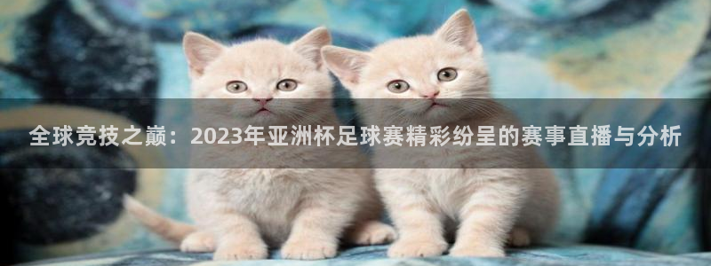 全球竞技之巅：2023年亚洲杯足球赛精彩纷呈的赛事直播与分析