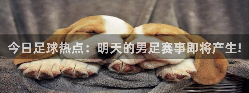 今日足球热点：明天的男足赛事即将产生!