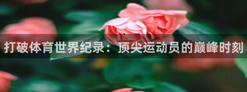 打破体育世界纪录：顶尖运动员的巅峰时刻