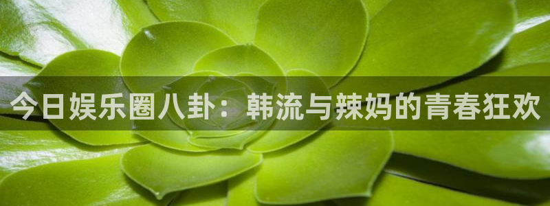 今日娱乐圈八卦：韩流与辣妈的青春狂欢