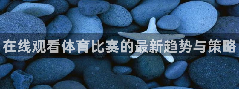 在线观看体育比赛的最新趋势与策略