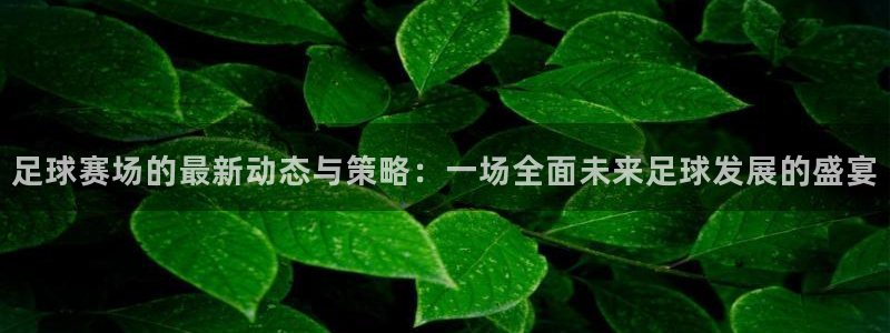 足球赛场的最新动态与策略：一场全面未来足球发展的盛宴