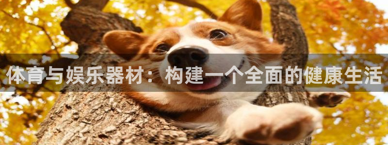 体育与娱乐器材：构建一个全面的健康生活