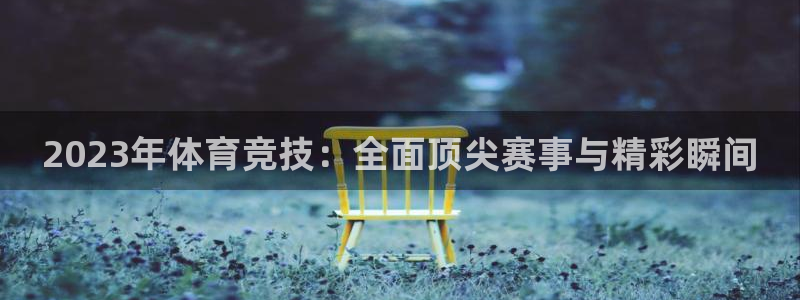 2023年体育竞技：全面顶尖赛事与精彩瞬间