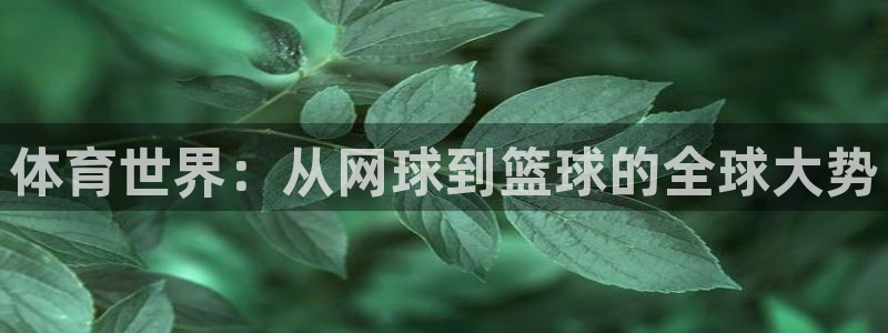 体育世界：从网球到篮球的全球大势