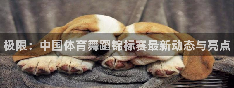 极限：中国体育舞蹈锦标赛最新动态与亮点