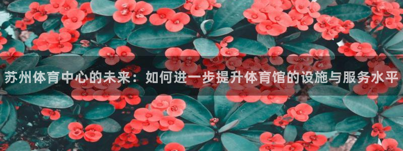 苏州体育中心的未来：如何进一步提升体育馆的设施与服务水平