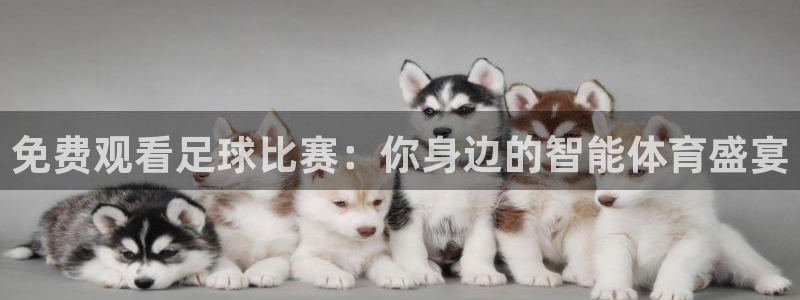 免费观看足球比赛：你身边的智能体育盛宴