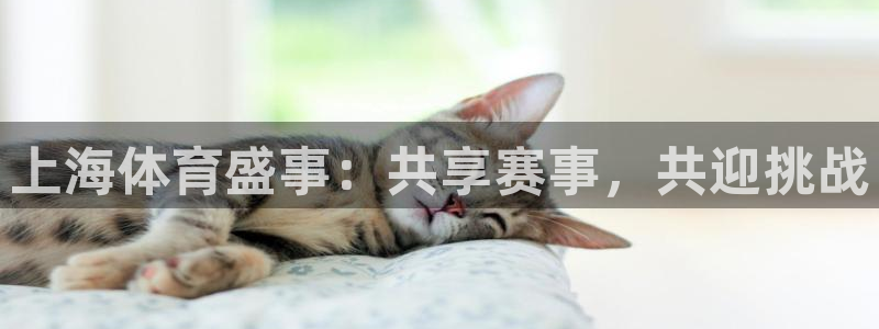 上海体育盛事：共享赛事，共迎挑战