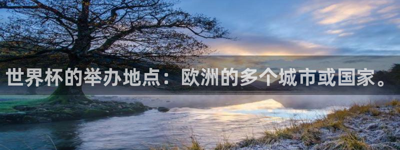 世界杯的举办地点：欧洲的多个城市或国家。