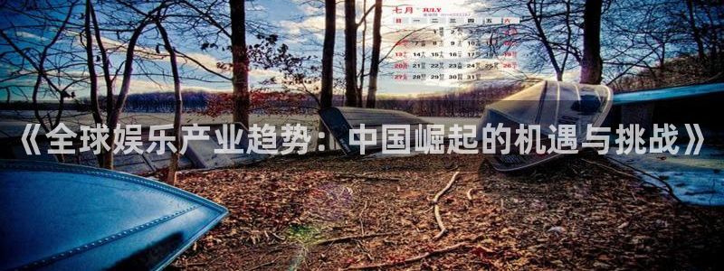 《全球娱乐产业趋势：中国崛起的机遇与挑战》