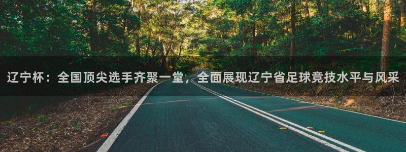 辽宁杯：全国顶尖选手齐聚一堂，全面展现辽宁省足球竞技水平与风采