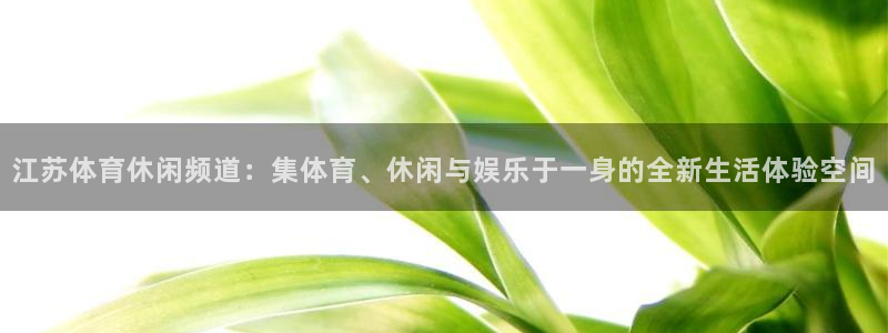 江苏体育休闲频道：集体育、休闲与娱乐于一身的全新生活体验空间