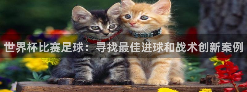 世界杯比赛足球：寻找最佳进球和战术创新案例