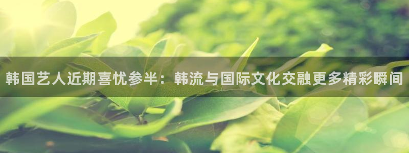 韩国艺人近期喜忧参半：韩流与国际文化交融更多精彩瞬间